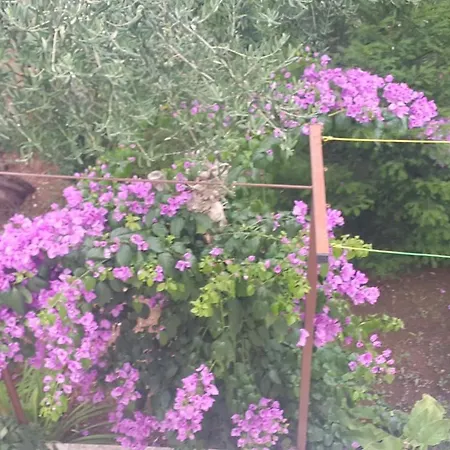 A1 Marina, Okrug Gornji アパート