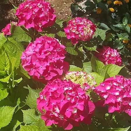 A1 Marina, Okrug Gornji アパート トロギール