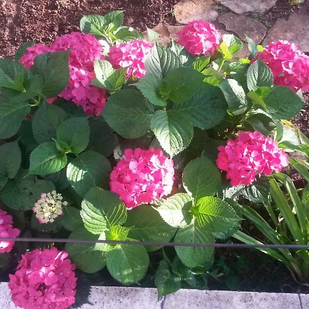 A1 Marina, Okrug Gornji * トロギール