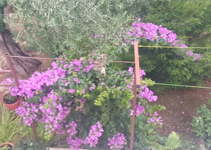 A1 Marina, Okrug Gornji Daire