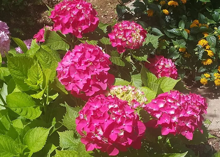 A1 Marina, Okrug Gornji Daire Trogir