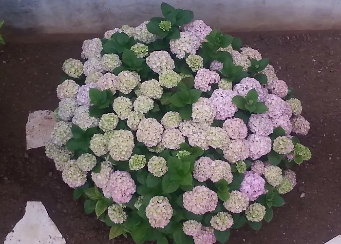 A1 Marina, Okrug Gornji * Trogir