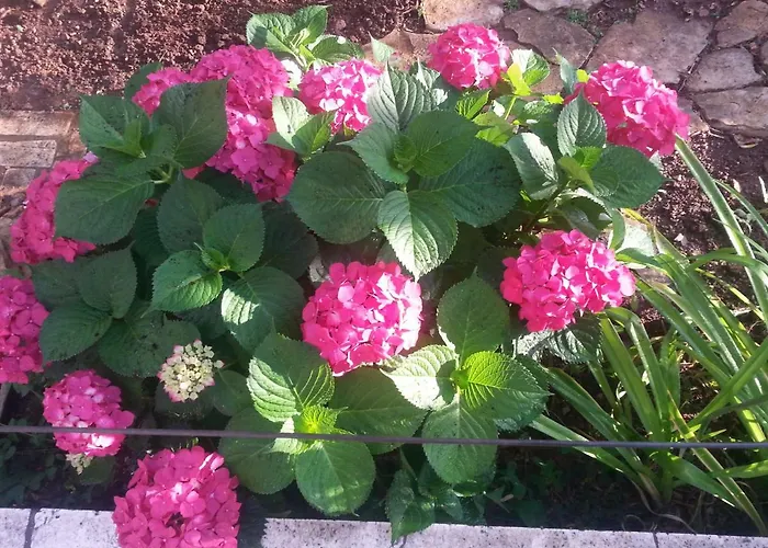 A1 Marina, Okrug Gornji * Trogir